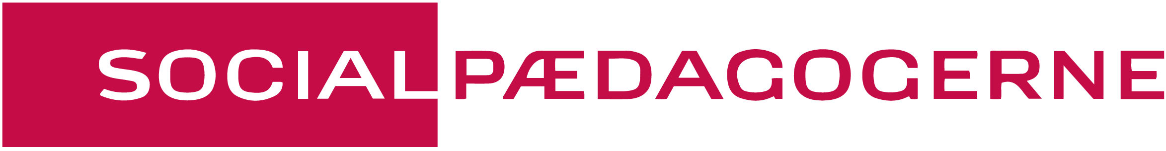 Socialpædagogerne